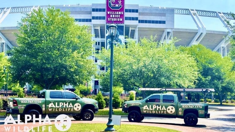 Alpha Wildlife trucks